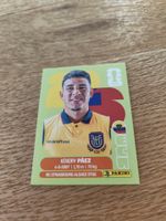 Panini Wm 2026 Ecu 11