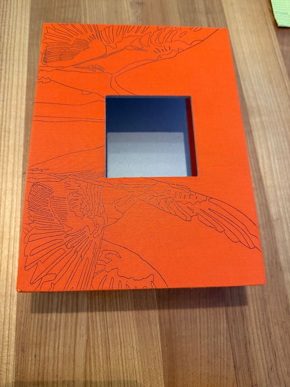 Bücher: birds in columbia murray cooper – Gebraucht aus Zürich von fehlton 4