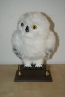Harry Potter Interaktive Figur Eule Hedwig