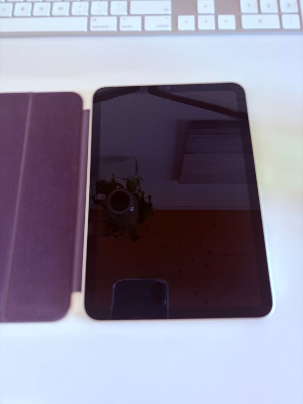Apple Tablet PC: iPad mini 6 mit 64 GB mit Schutzhülle – Usato da Winterthur venduto da jajaegal