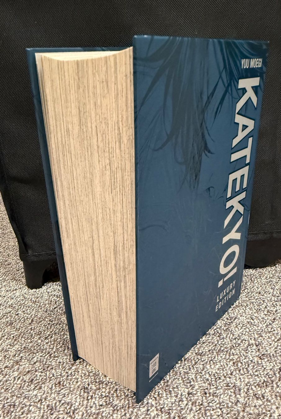 Fumetti: BL Manga: Katekyo - Gesamtausgabe – Nuovo (secondo la descrizione) da Triesen venduto da cla_q2js 2