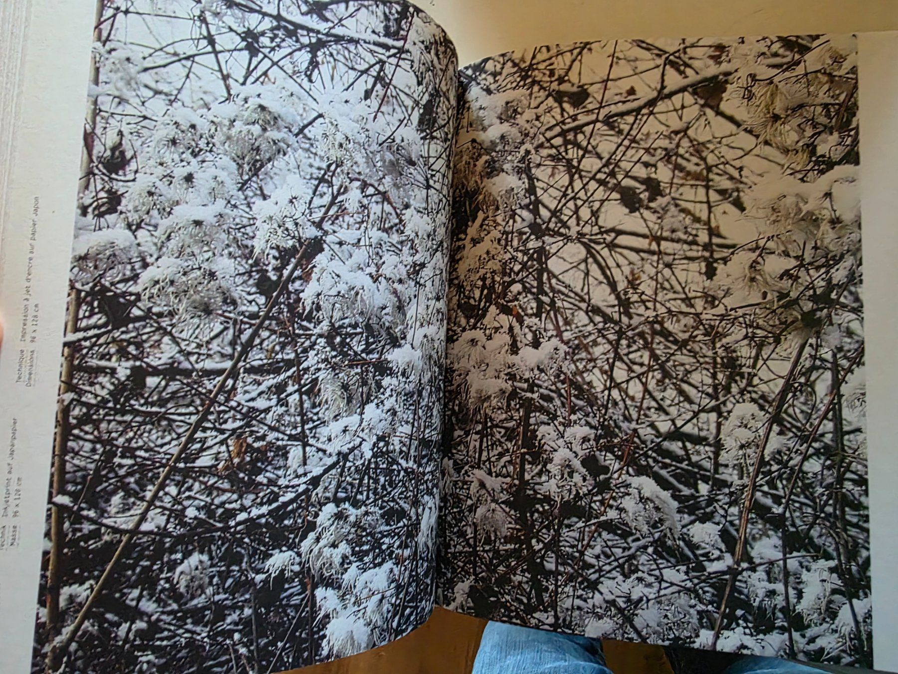 Libri: Cécile Wick - Weltgeschichte - Kunstmuseum Bern 2006 – Nuovo (secondo la descrizione) da Walterswil BE venduto da Lonitti 8