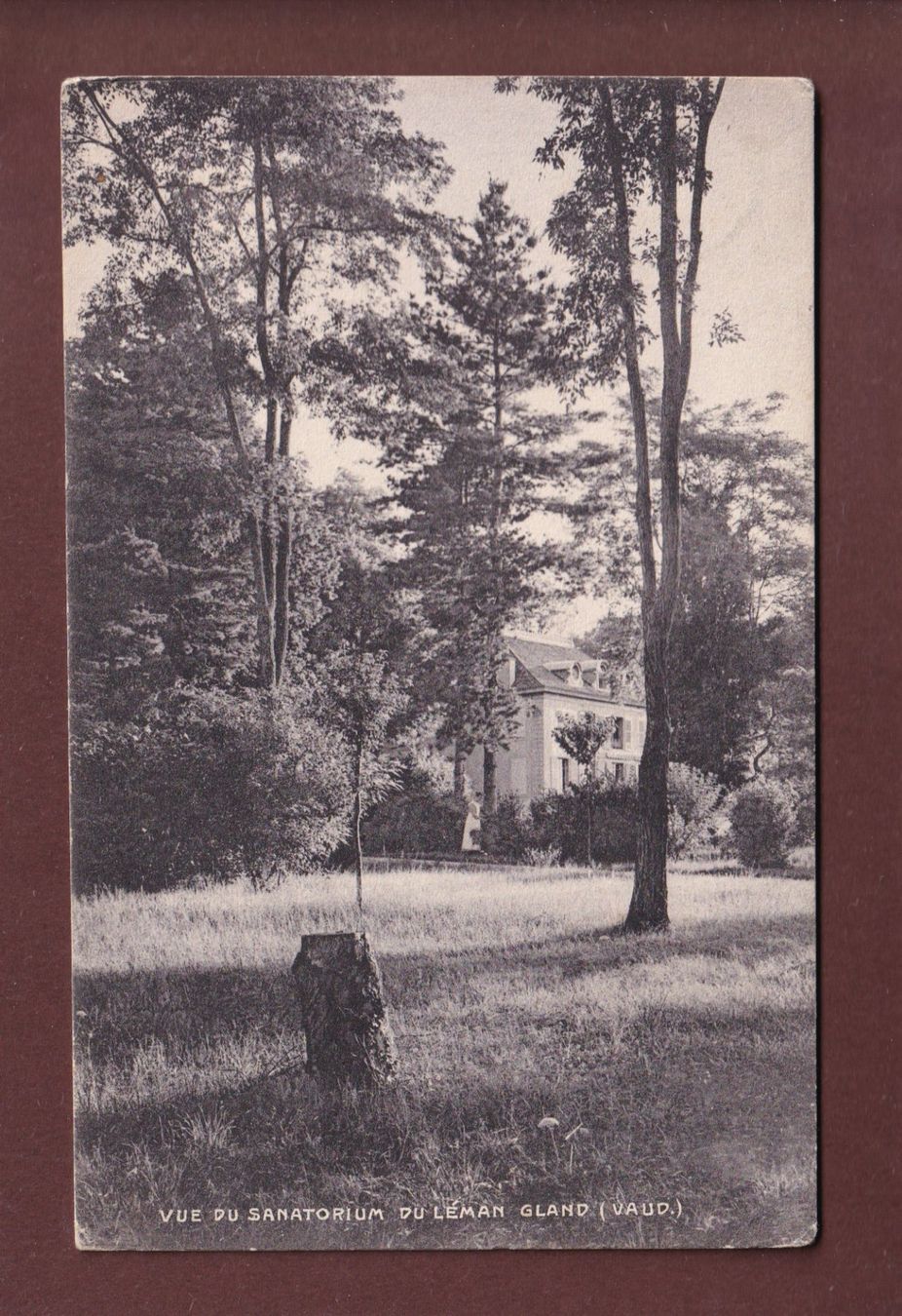 Ansichtskarten: GLAND - Sanatorium du Léman - 1907 – Gebraucht aus Pully von nicecards