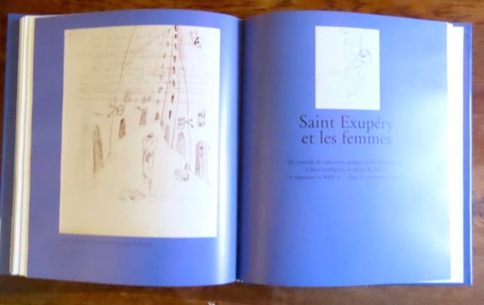 Libri: Les plus beaux manuscrits de Saint-Exupéry – Usato da Le Locle venduto da LibrairieLaBergerie 4