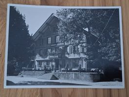 Ansichtskarte: Löwen Affoltern i.E ( 1942)