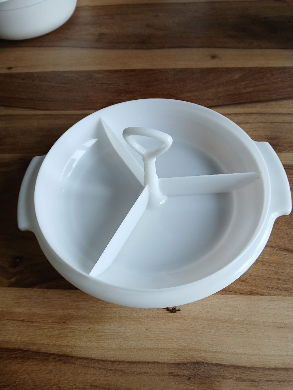 Tupperware Contenitori & Simili: Tupperware Divided Dish With Lid and Handle – Usato da Dübendorf venduto da rol_fm6d 2