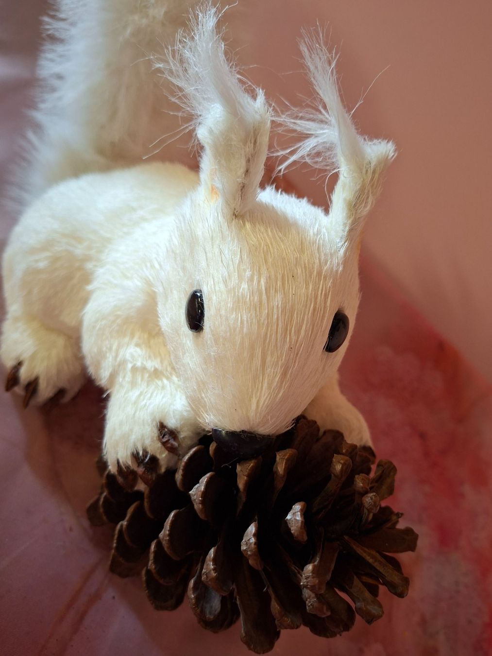 Tutte le decorazioni: neu: Deko Eichhörnchen weiss mit Tannenzapfen – Nuovo (secondo la descrizione) da Nassen venduto da verrueckt 2