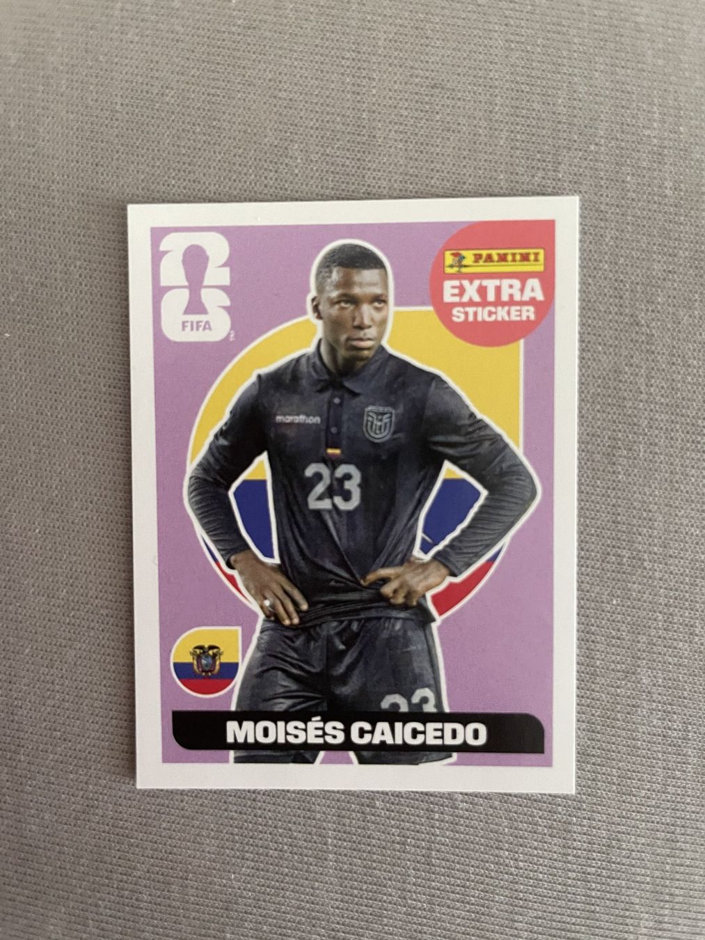 Panini Cartes à collectionner: 4er Set Panini Extras – Neuf (Voir description) à Winterthur par jsoll1 3