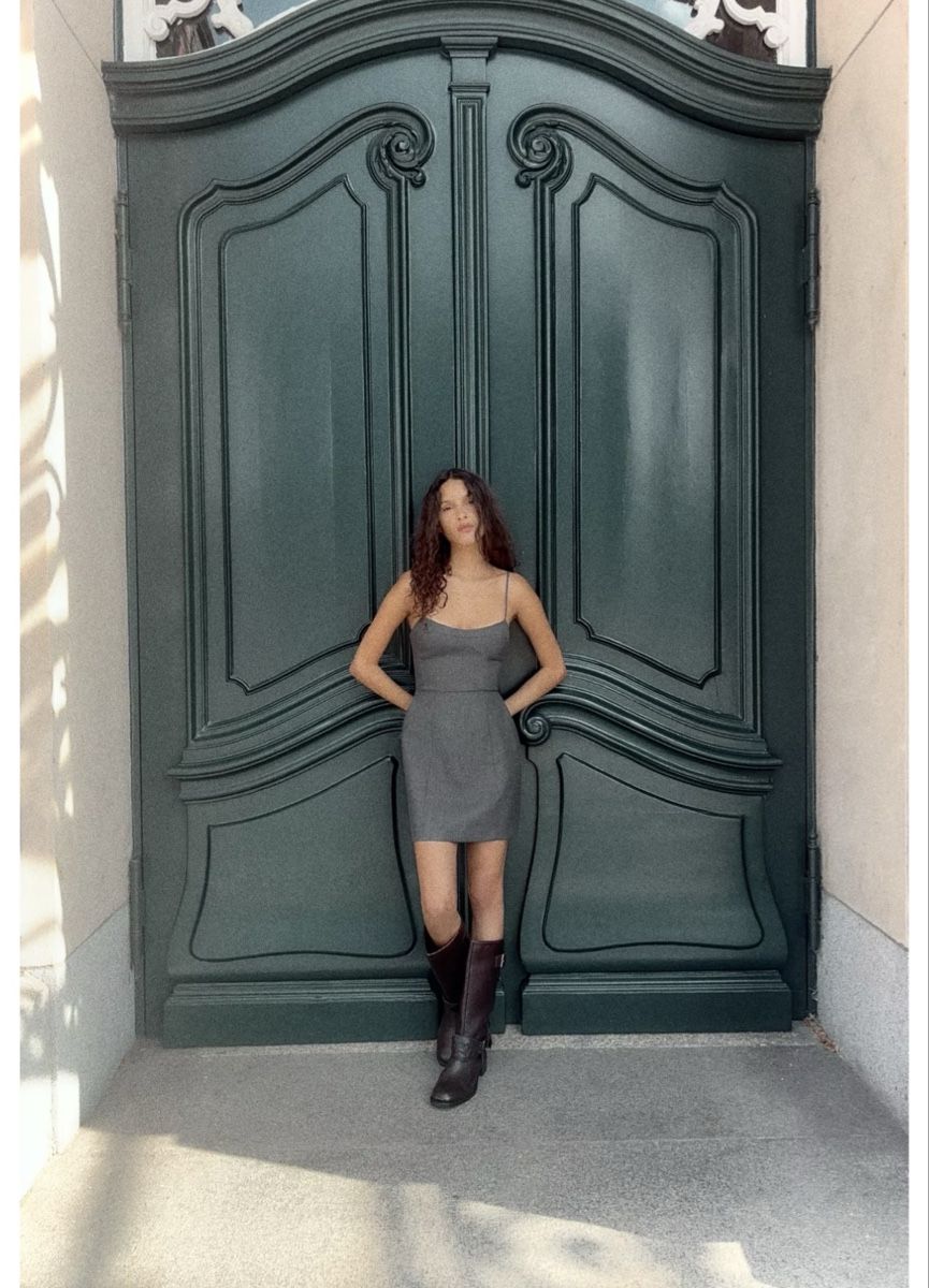 Zara Vestiti: Zara Dress – Nuovo e nell'imballaggio originale da Opfikon venduto da MabelCouture 3