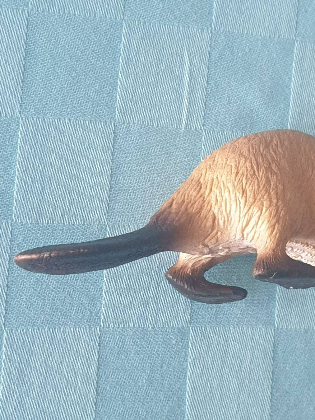 Schleich Statuette: Biber Tier Schleich – Usato da Mörschwil venduto da spirspi 4