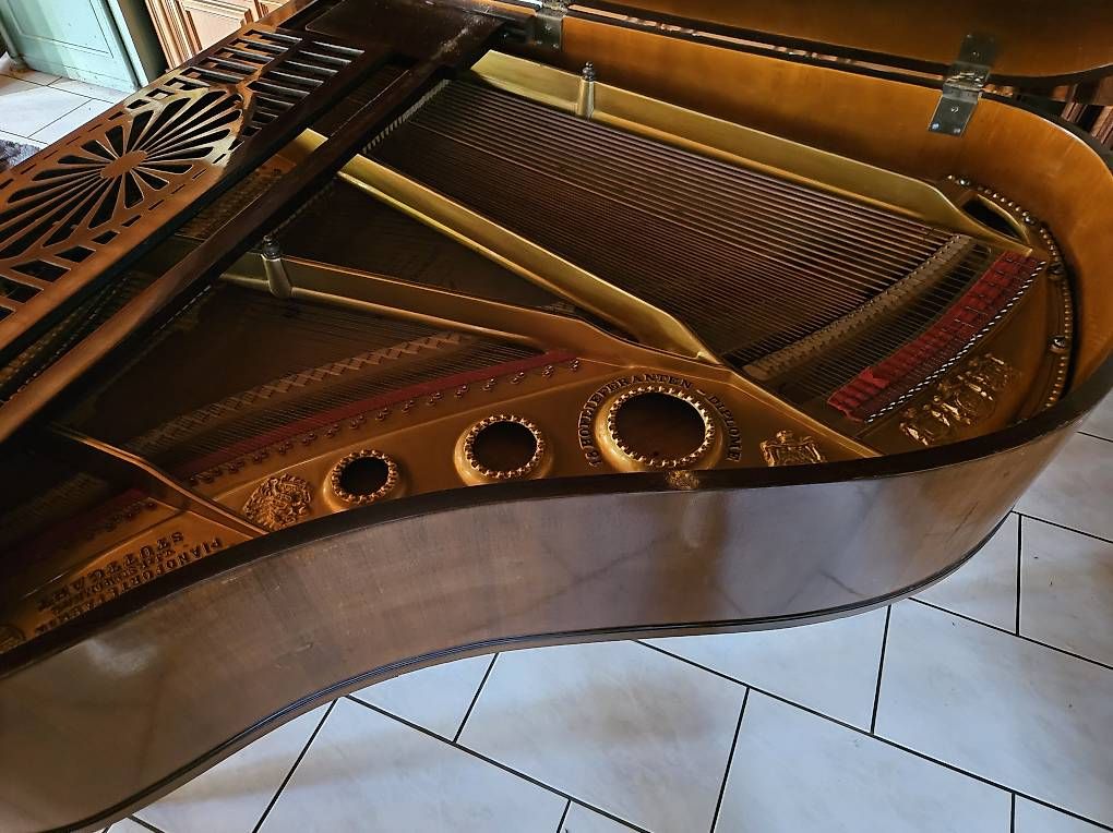 Musikinstrumente: Flügel – Gebraucht aus Galmiz von Seeland2 3