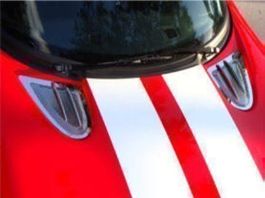Viper RT10 Hauben Grill