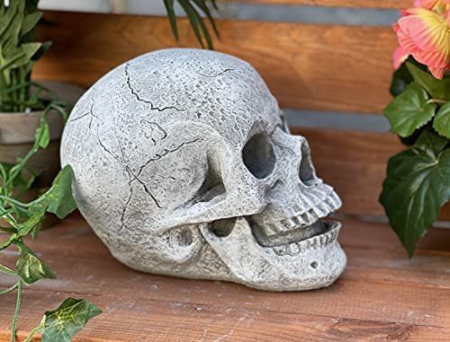 Skulpturen & Statuen: Gartenskulptur Gartenfigur Schädel crâne sculpture – Neu und originalverpackt aus Lopagno von CLep 3