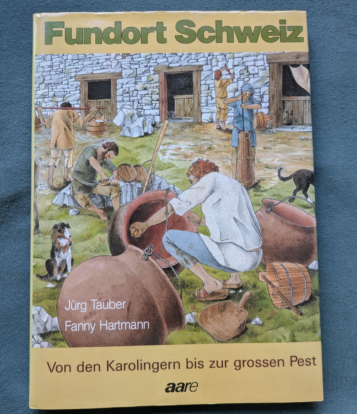 Libri: Fundort Schweiz Band 5 – Usato da Wettingen venduto da ut5430