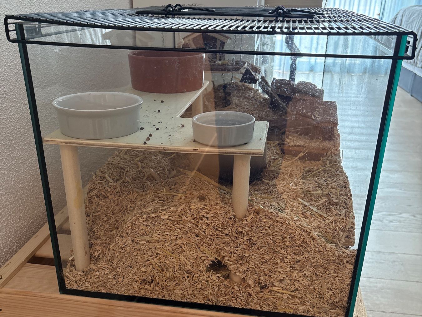 Terrarium: Kleintier-Terrarium – Gebraucht aus Pfäffikon ZH von che_868g 2