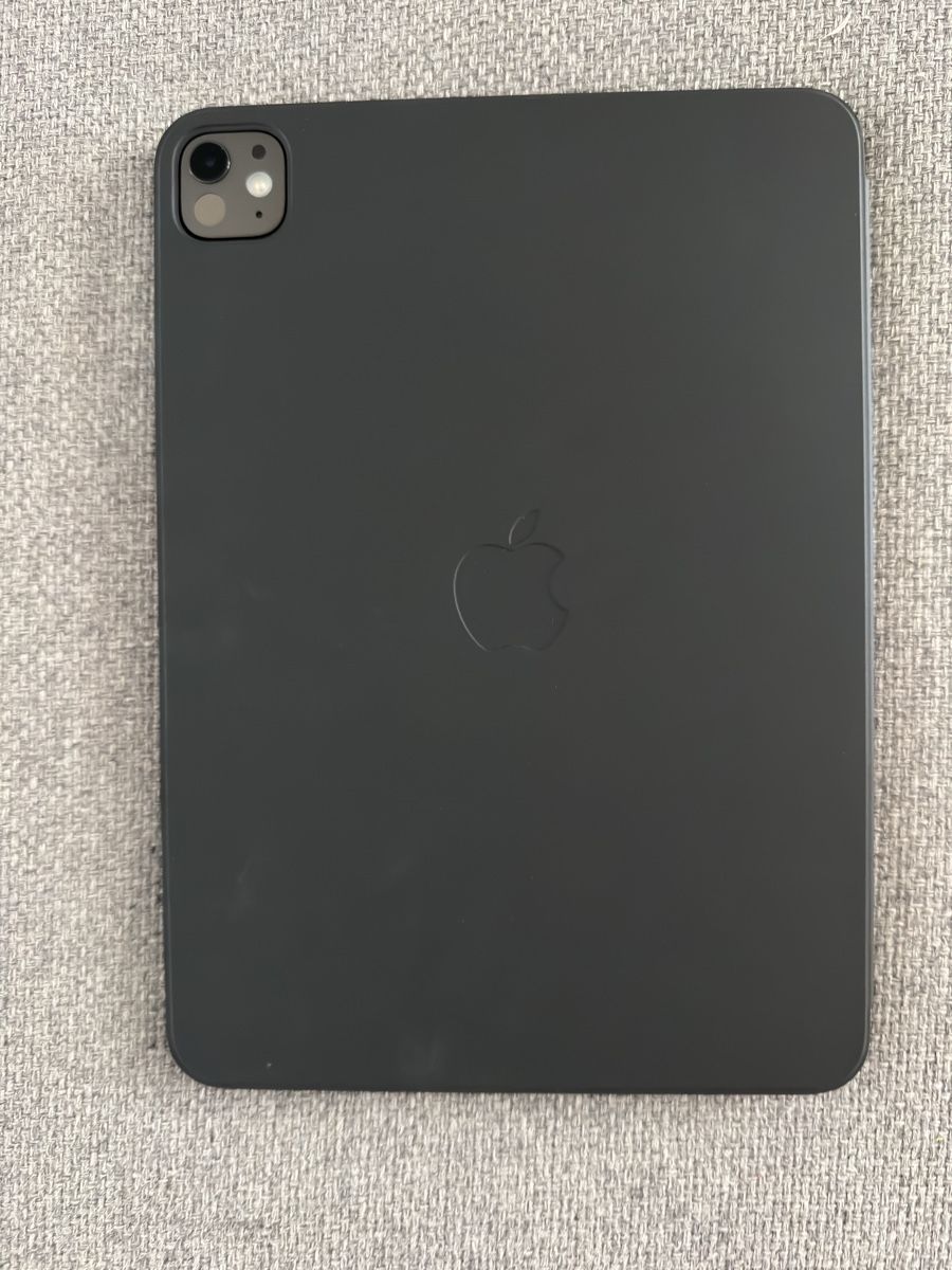Apple Tablet PC: Ipad Pro 11, M4, 256 GB, Cellular – Usato da röschenz venduto da Dave__ 1