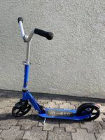Micro Scooter Cruiser