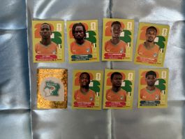 Elfenbeinküste Panini WM 2026