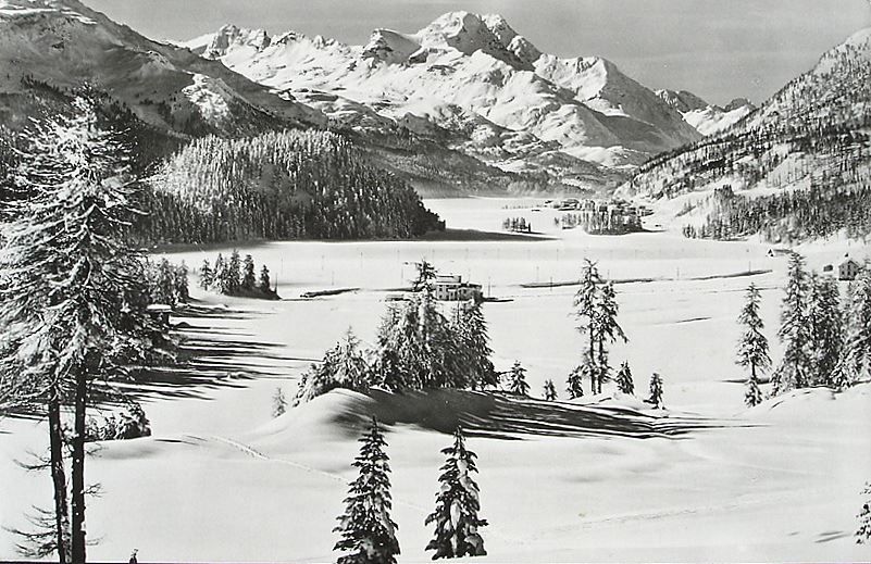 Cartes postales: Bei ST. MORITZ Photo Albert Steiner St. Moritz – D'occasion à Jona par philajona