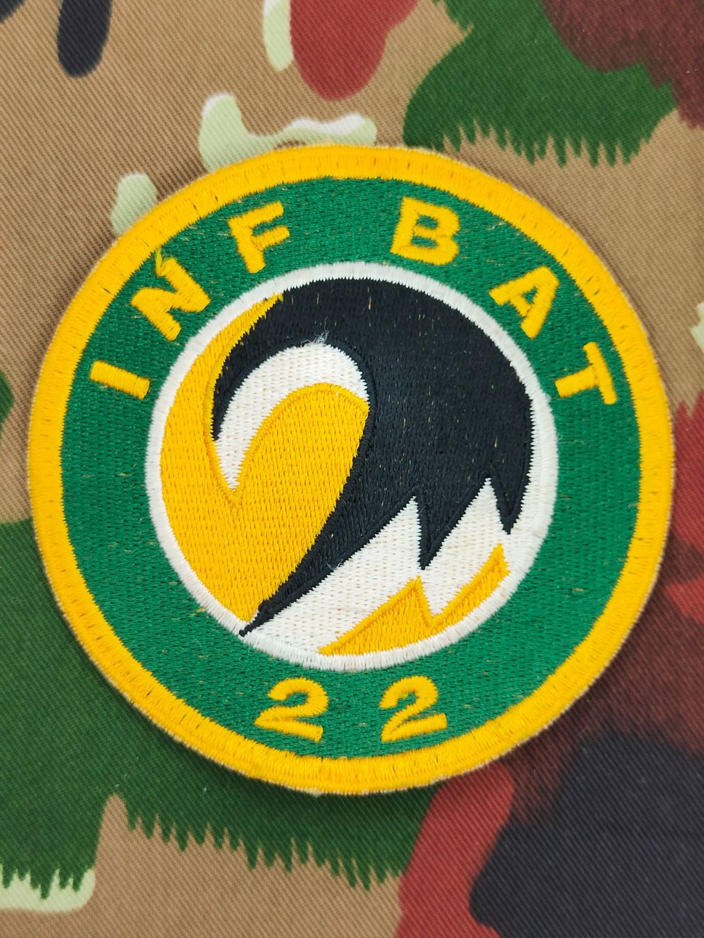 Schweizer Armee Placchette & Badge: Verbandsabzeichen Inf Bat 22 – Usato da Bauma venduto da SwissMilitaria