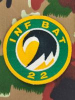 Verbandsabzeichen Inf Bat 22