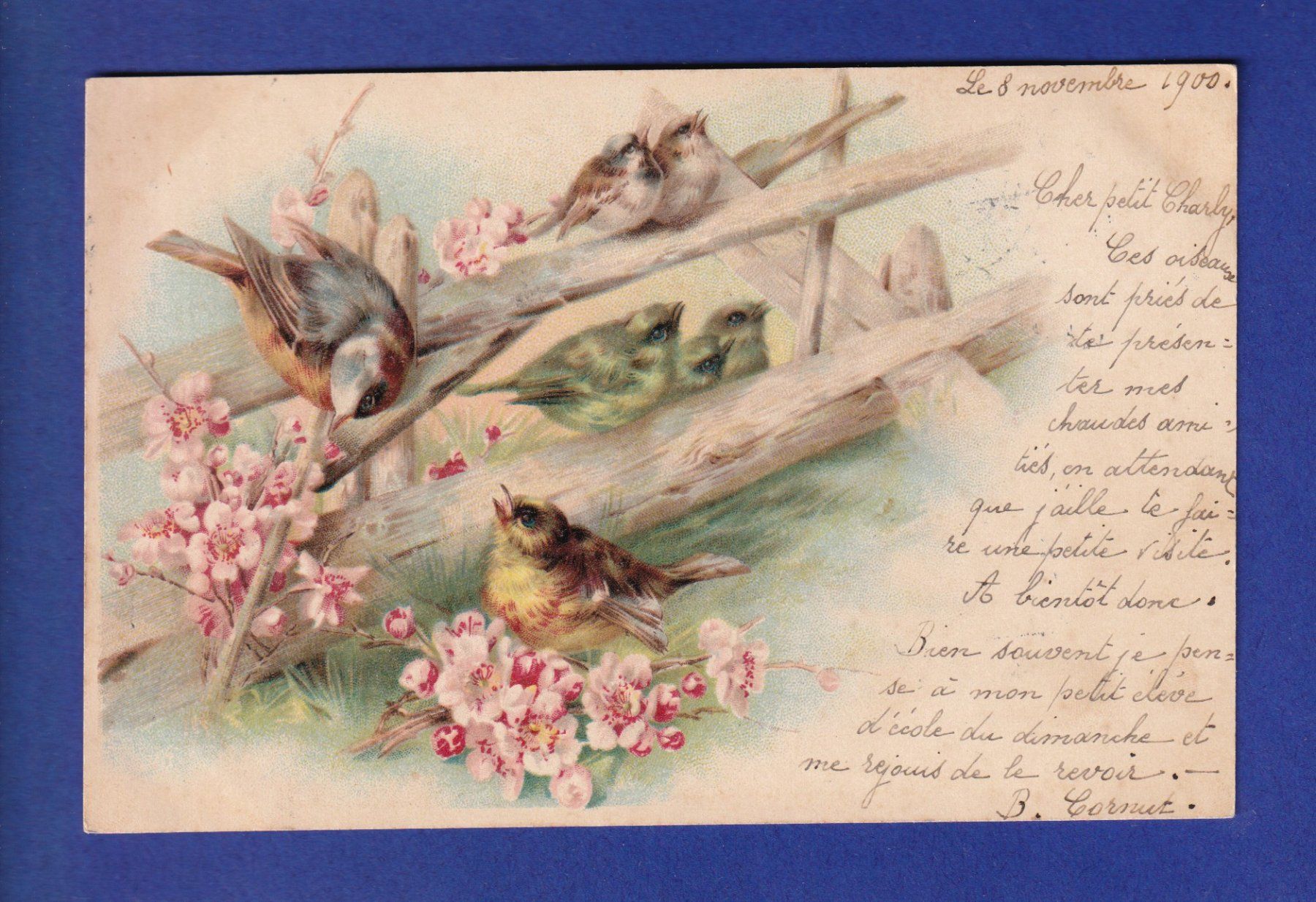 Ansichtskarten: OISEAU - Fleurs – Gebraucht aus Pully von nicecards-shop