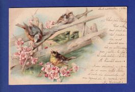 OISEAU - Fleurs