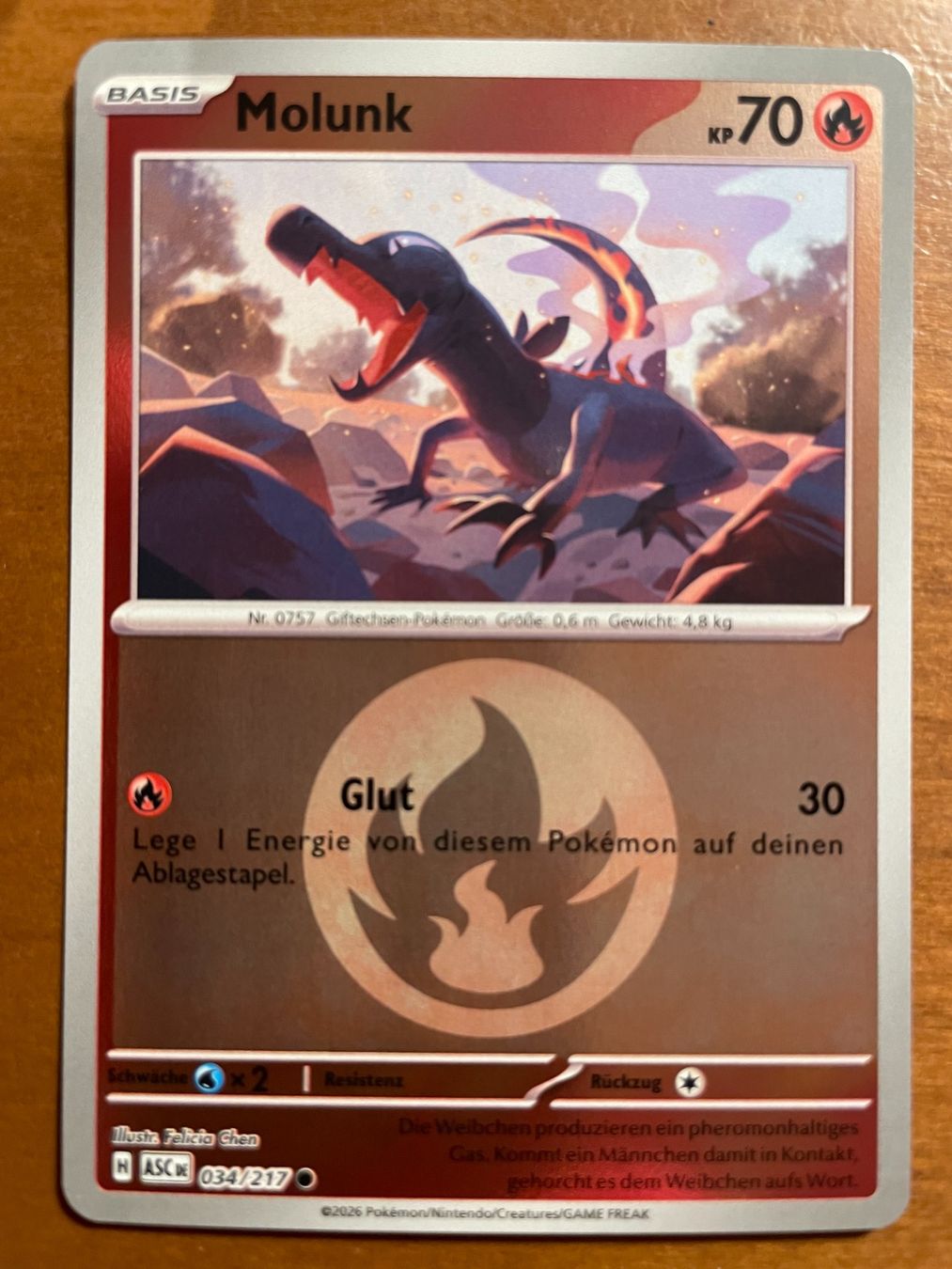 Pokémon Carte collezionabili: Pokemon Molunk Reverse (Versand gratis) – Nuovo (secondo la descrizione) da Chur venduto da Angerson