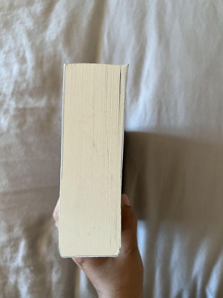 Libri: Stormdancer von Jay Kristoff – Nuovo (secondo la descrizione) da Glattbrugg venduto da readsy 5