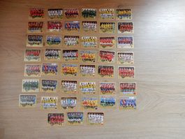 Panini WM 2018