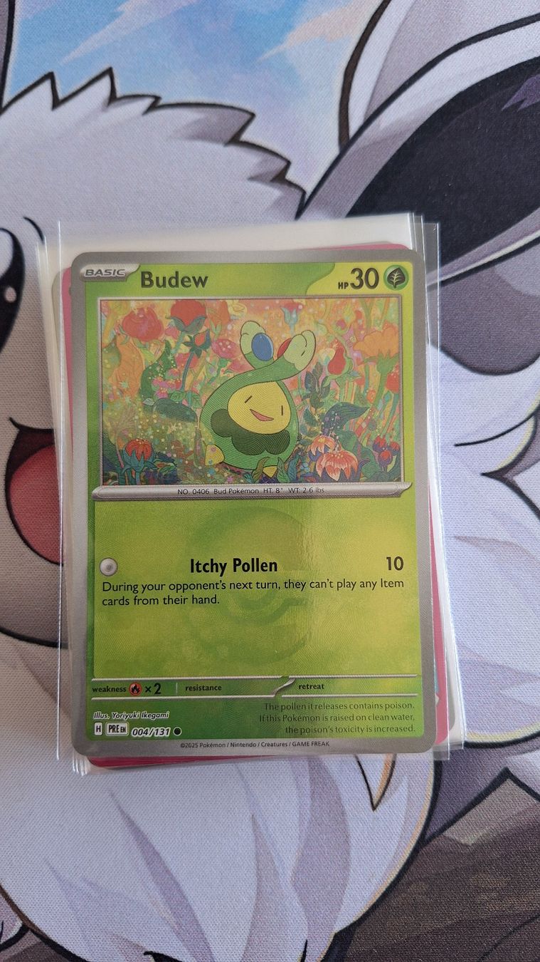 Pokémon Carte collezionabili: Budew Pokeball Holo - Prismatic Evolution – Usato da Altstätten SG venduto da GGsGameshop