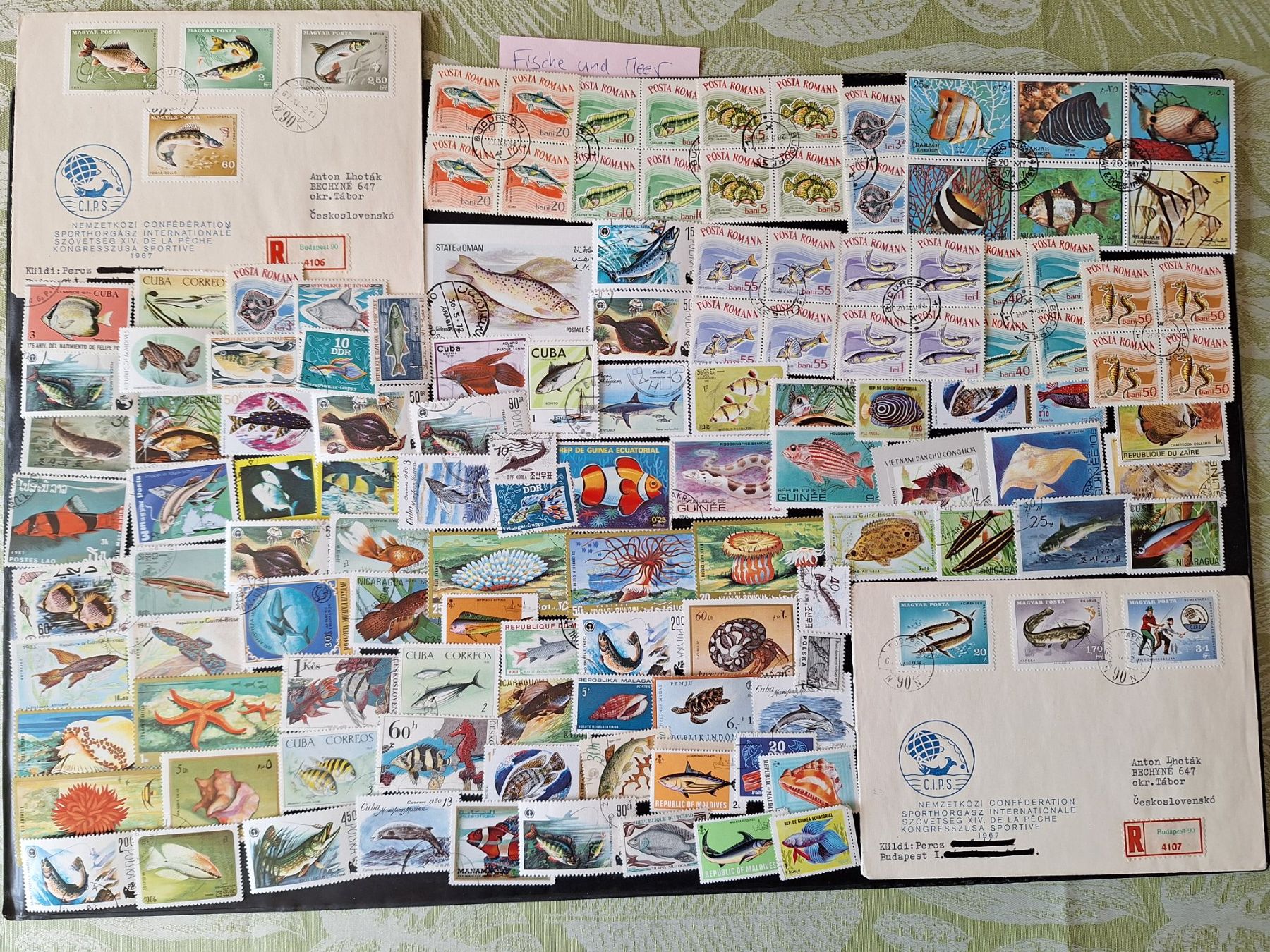 Tutti i francobolli: Grosse Fische und Meer-Sammlung – Usato da Genolier venduto da Antoine30 1