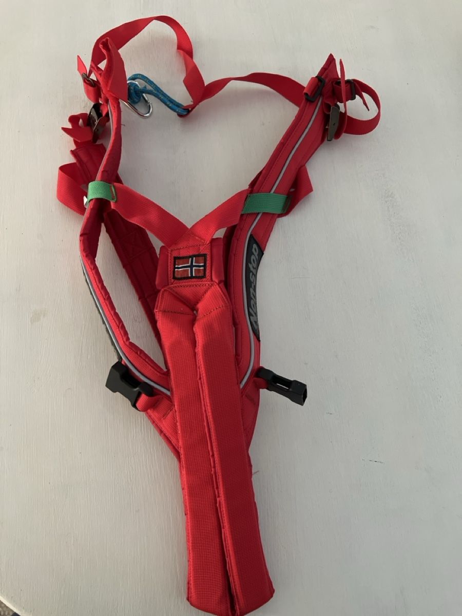 Non-Stop Dogwear Guinzagli & Collari: Zughunde-Geschirr – Nuovo (secondo la descrizione) da Embrach venduto da dariel1