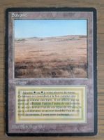MTG - 1 x Savane (Savannah)