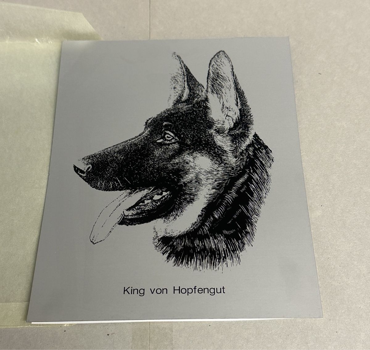 Insegne: Aluminiumschild / Deutscher Schäferhund – Usato da Nussbaumen AG venduto da olitech5415 1