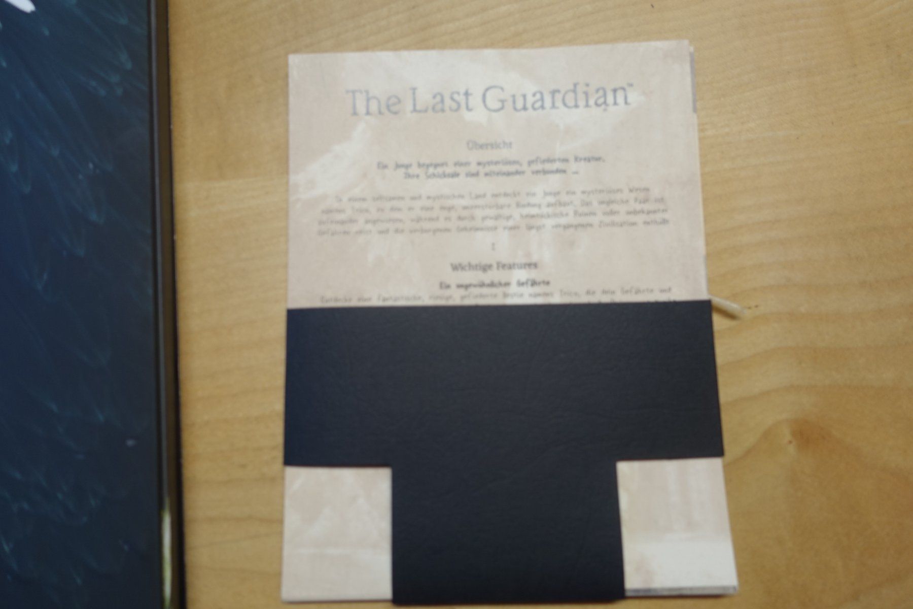 Sony Spiele: The Last Guardian - Press Kit – Gebraucht aus Steinach von Gamecet 6