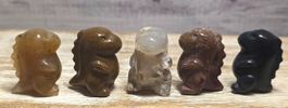 5 kleine Dinos Set 180g