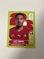 SUI 7 Panini WM26 Aurele Amenda