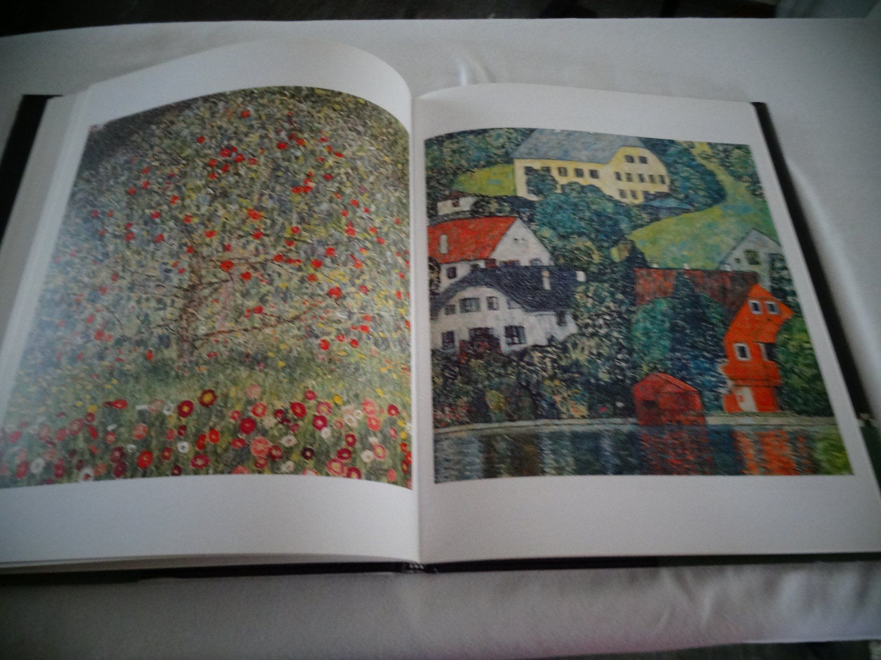 Bücher: Portrait of Adele Bloch-Bauer – Gebraucht aus Neerach von jenny062 7