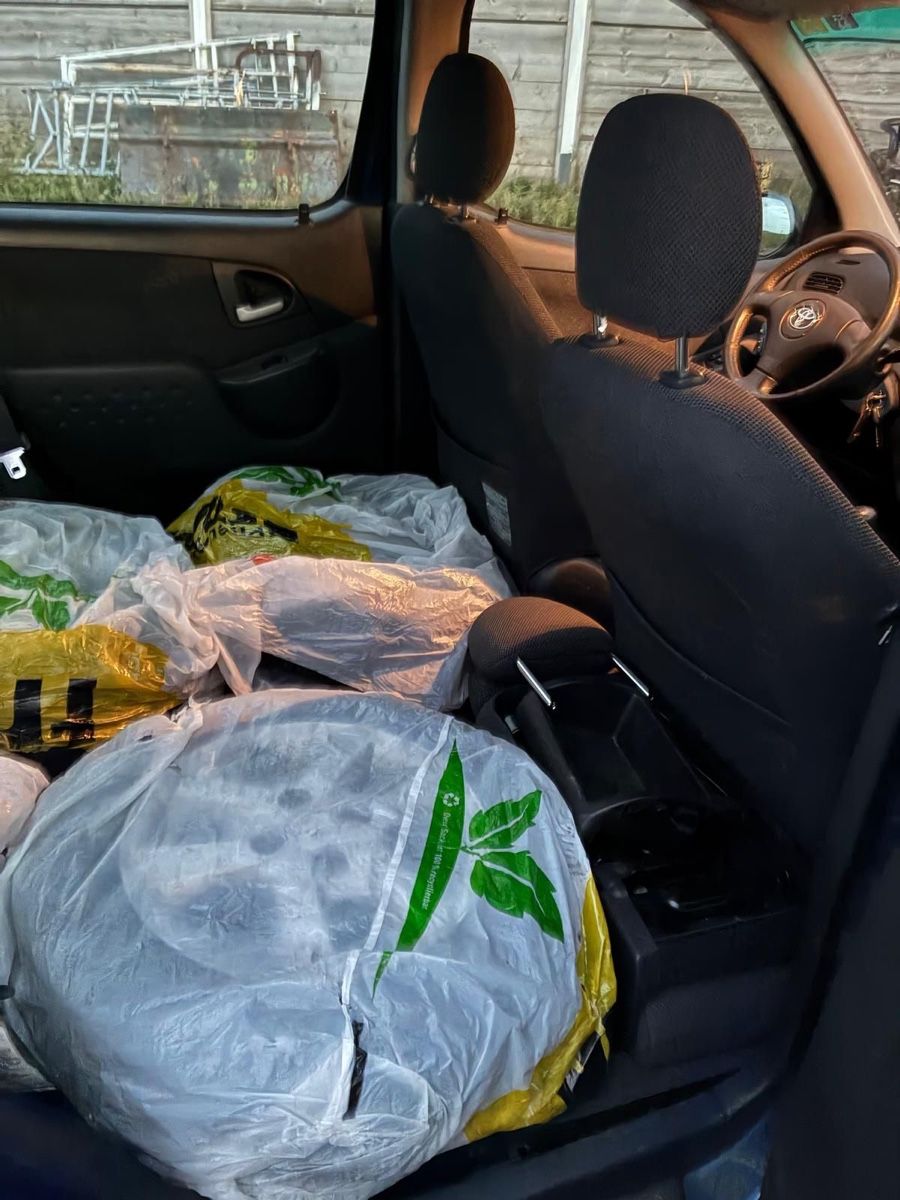 Toyota Automobili: Toyota Yaris Verso – Usato da Thierachern venduto da d_f_9mkw 6
