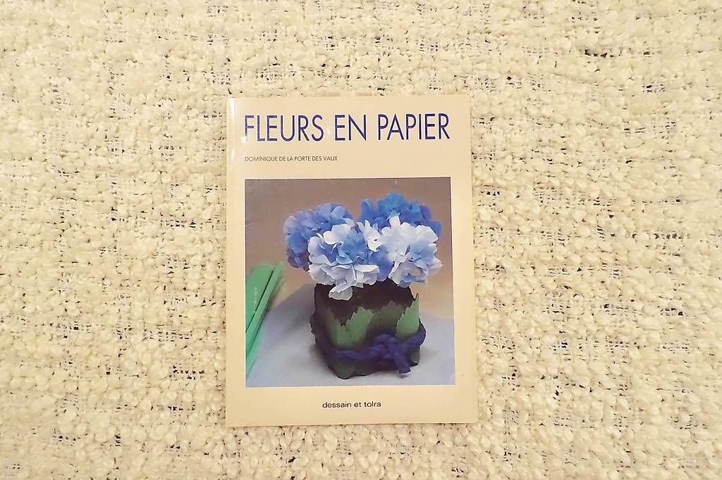 Libri: Brochure bricolage fleurs en papier – Nuovo (secondo la descrizione) da Genève venduto da fto_sz8d