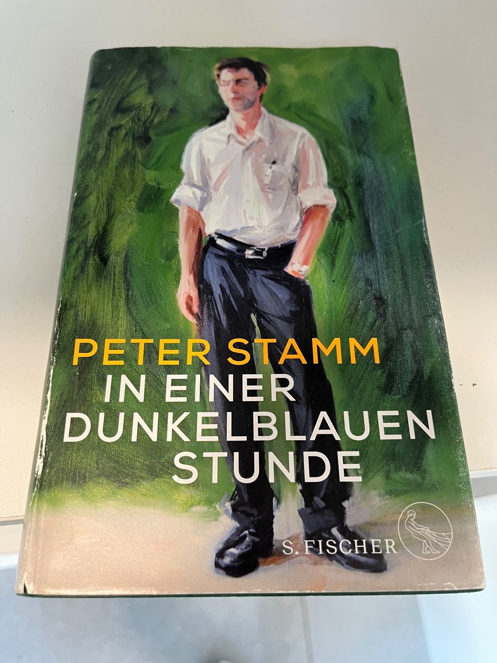 Libri: Buch von Peter Stamm Dunkelblaue Stunde – Usato da Eschenbach SG venduto da Joey-Li