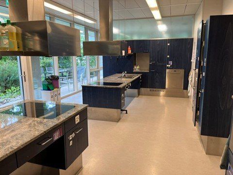 Komplettküchen: Schulküche mehrteilig – Gebraucht aus Kestenholz von gerbkauf