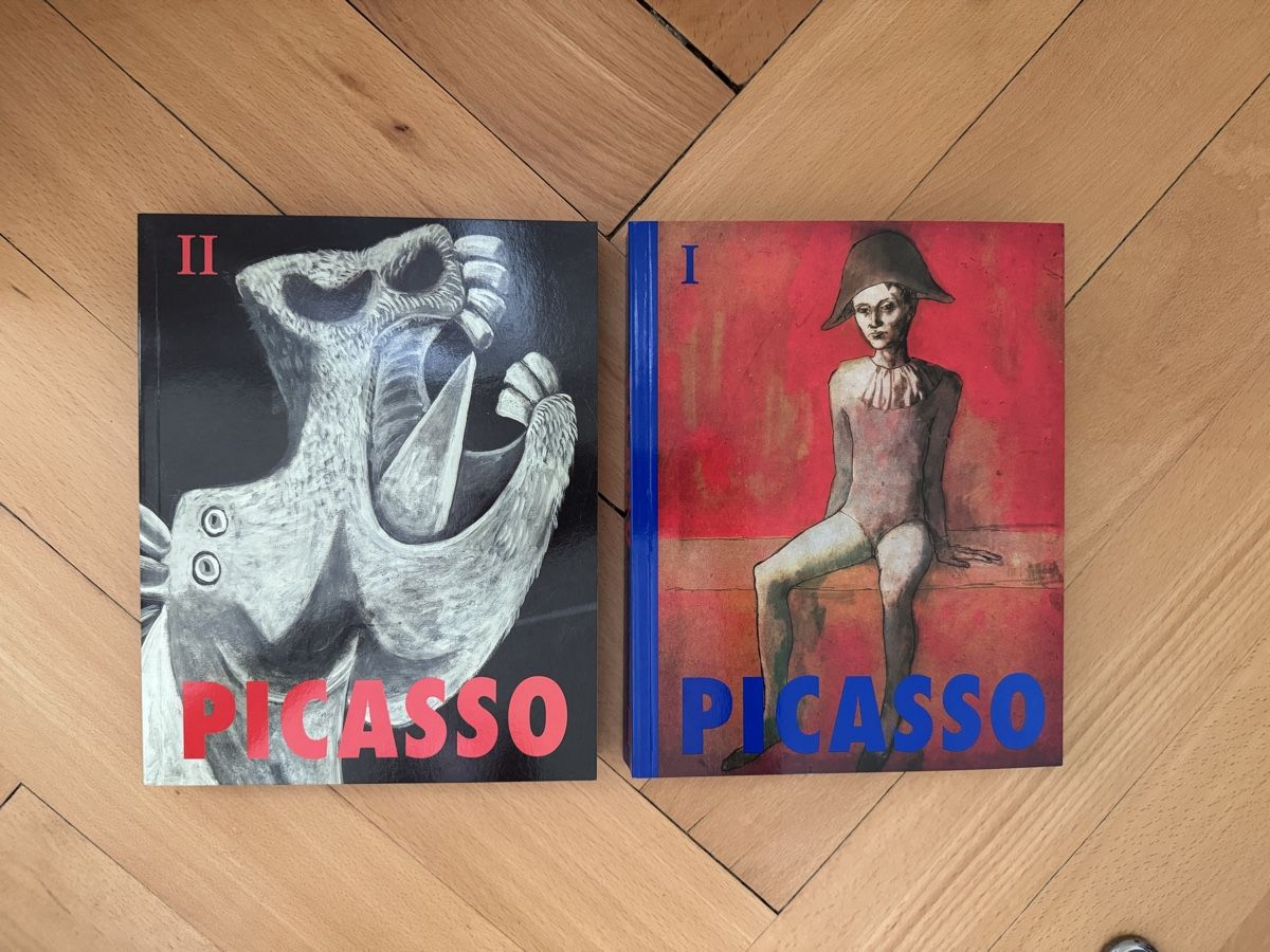 Libri: Pablo Picasso (Hardcover) – Usato da Basel venduto da wik_9tlk 2