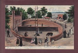 BERN - Bärengraben - 1903