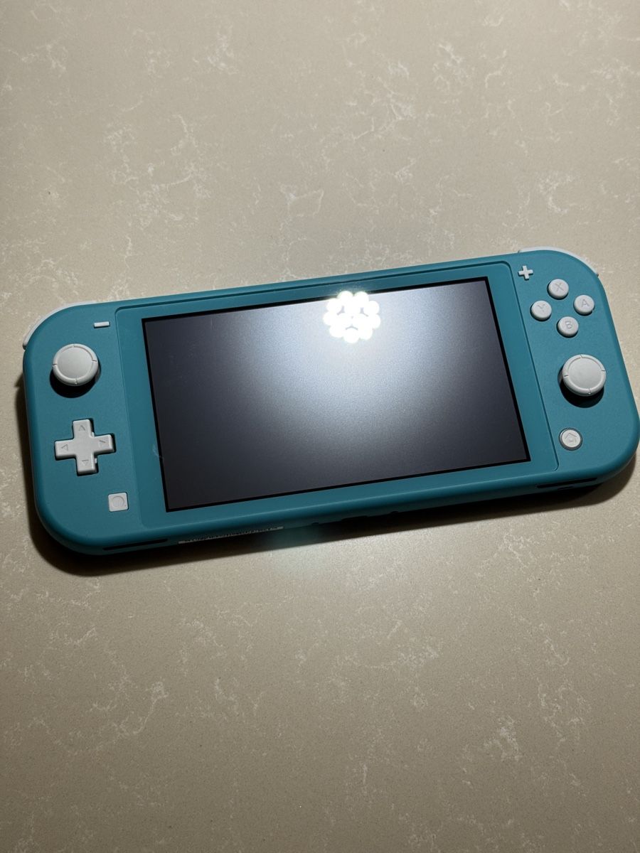 Nintendo Consoles: Nintendo Switch Lite – Défectueux à Gretzenbach par iSahiti