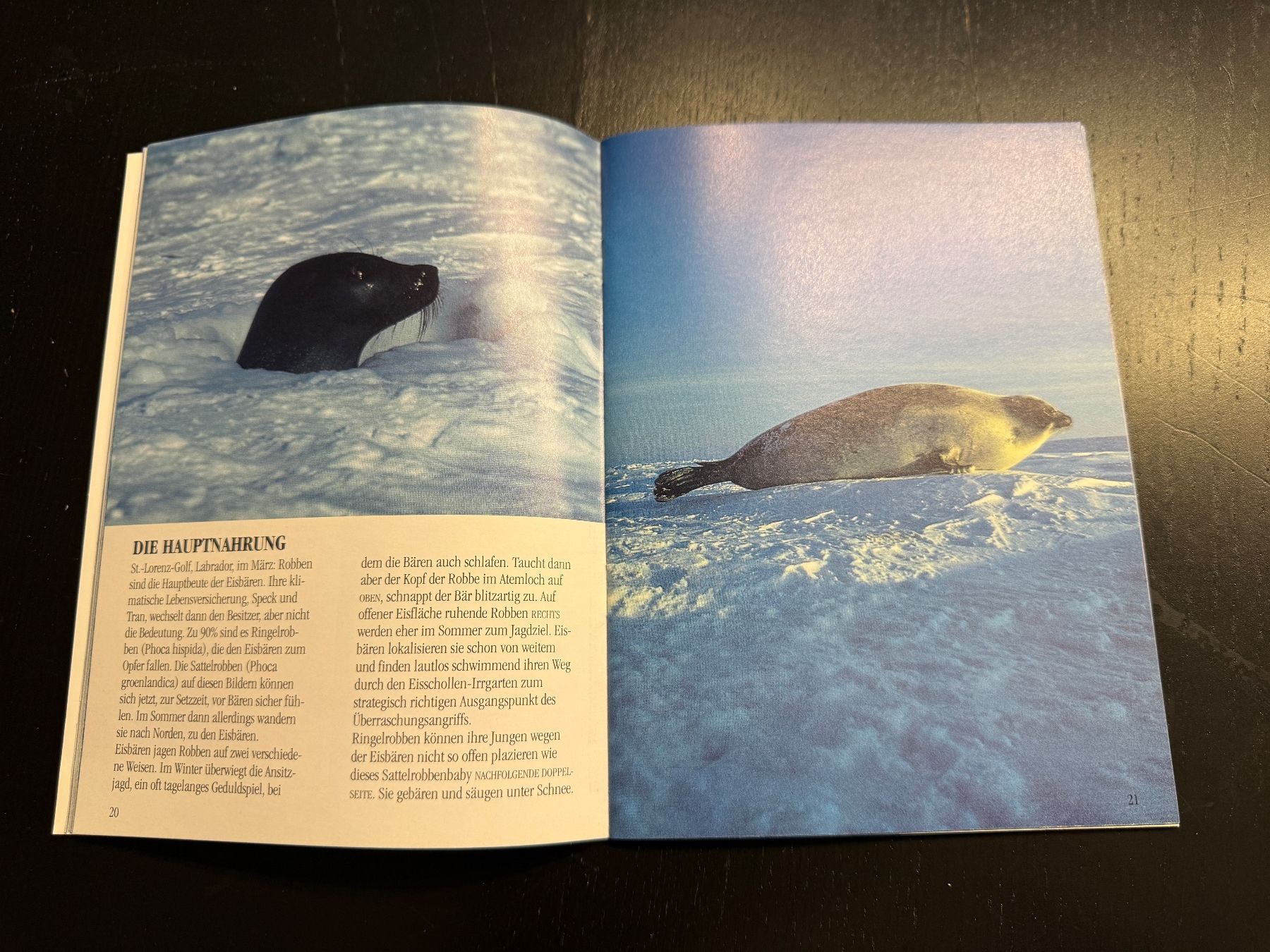 Libri: Mach's gut, Eisbär! Ein wunderschönes Kinderbuch. Top! – Usato da Erstfeld venduto da Mario_boe0 2