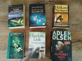 diverse Romane, 5.- pro Buch