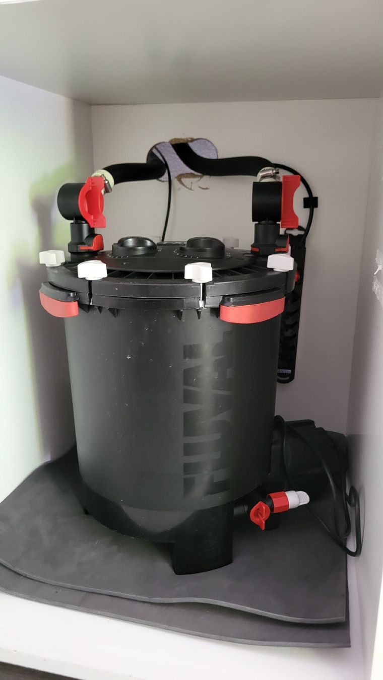 Aquarium: Aquarium 720L – Gebraucht aus Dorénaz von sic_w2bz 3
