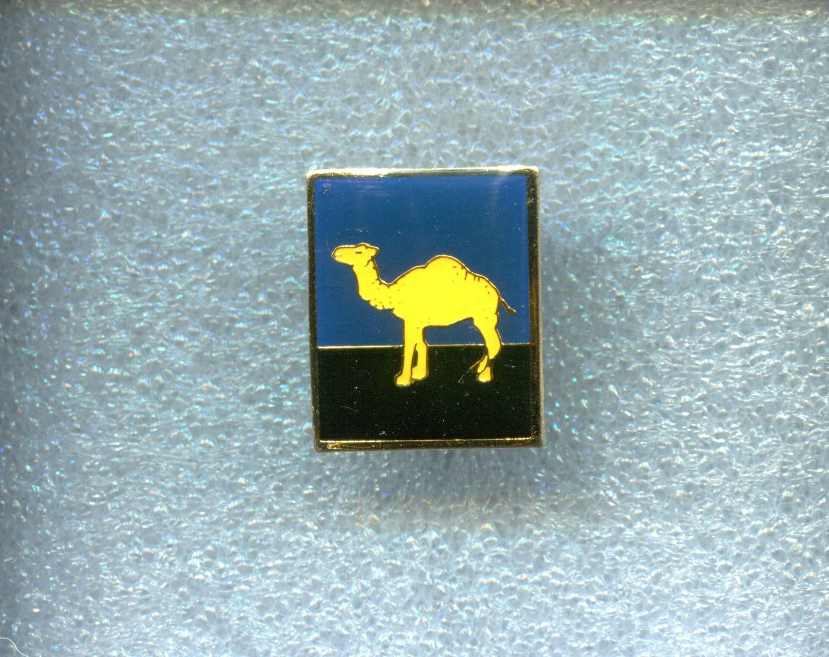 Camel Placchette & Badge: CAMEL – Usato da Winterthur venduto da Sammleroase